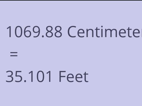 1069.88 CM TO FEET