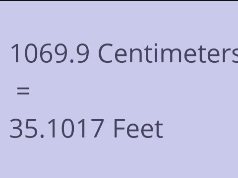 1069.9 CM TO FEET