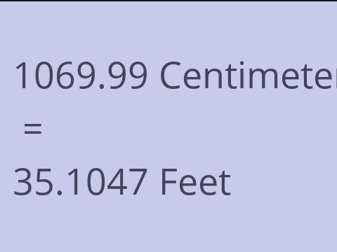 1069.99 CM TO FEET