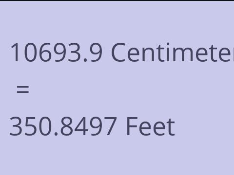 10693.9 CM TO FEET