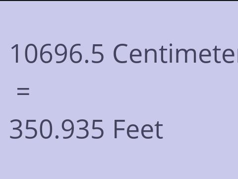10696.5 CM TO FEET