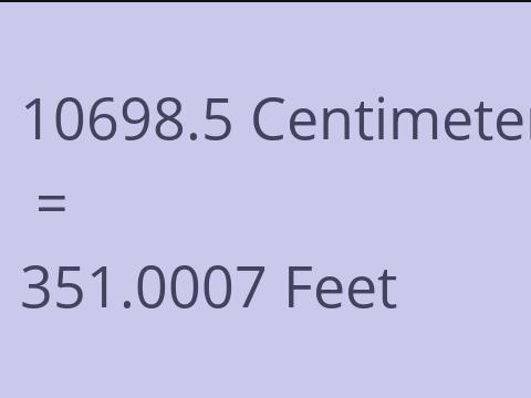 10698.5 CM TO FEET