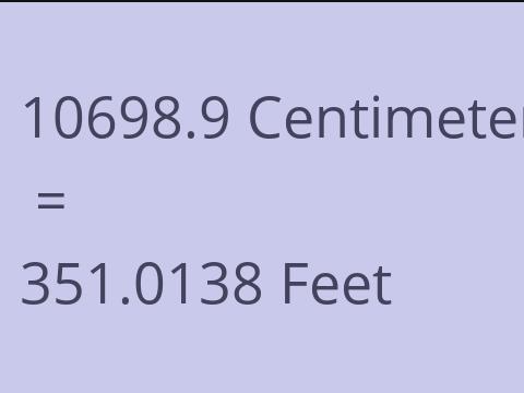 10698.9 CM TO FEET