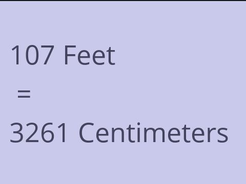 107 FEET TO CM