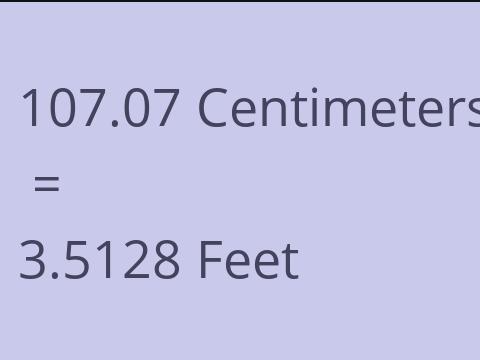 107.07 CM TO FEET