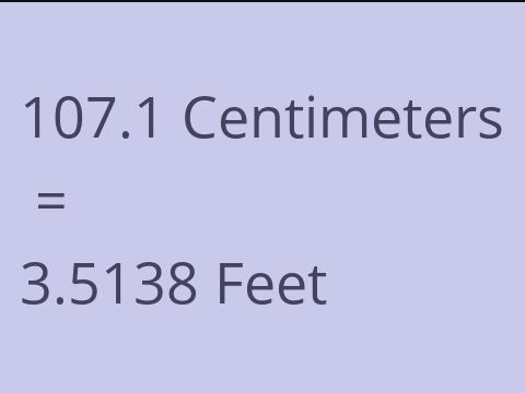 107.1 CM TO FEET