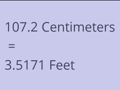 107.2 CM TO FEET