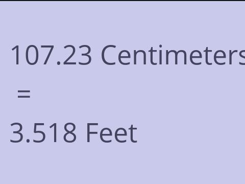 107.23 CM TO FEET