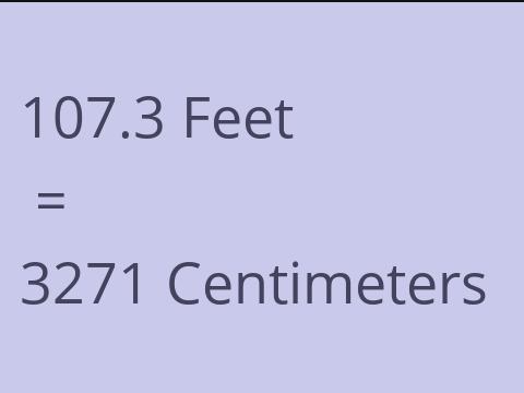 107.3 FEET TO CM