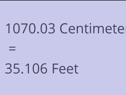 1070.03 CM TO FEET