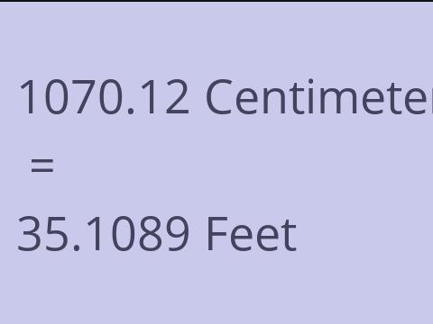 1070.12 CM TO FEET