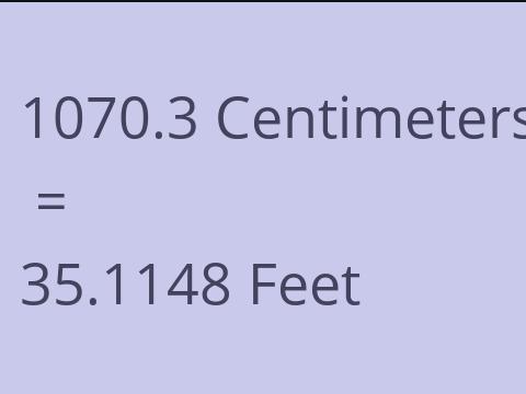 1070.3 CM TO FEET