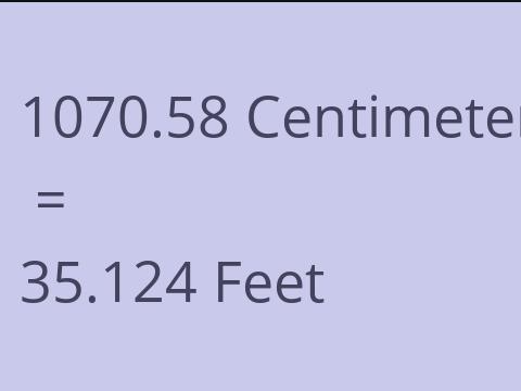 1070.58 CM TO FEET