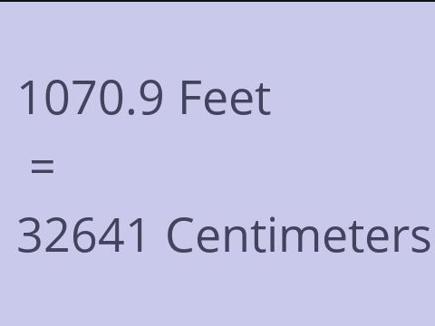 1070.9 FEET TO CM