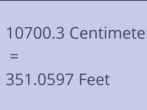 10700.3 CM TO FEET