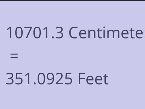 10701.3 CM TO FEET