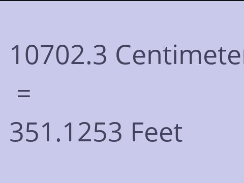 10702.3 CM TO FEET