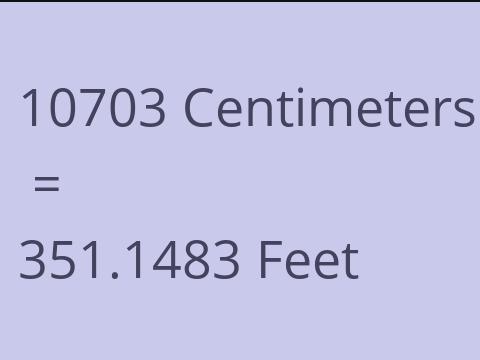 10703 CM TO FEET