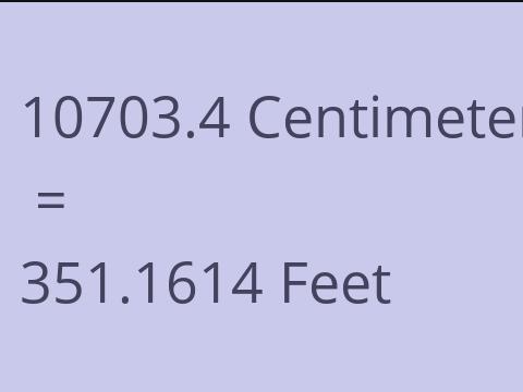 10703.4 CM TO FEET