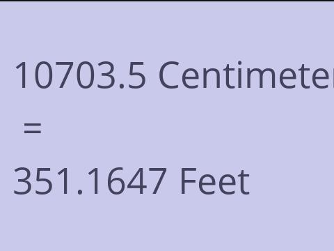 10703.5 CM TO FEET