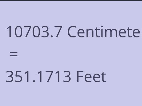 10703.7 CM TO FEET