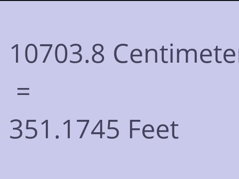 10703.8 CM TO FEET