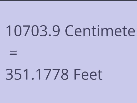 10703.9 CM TO FEET