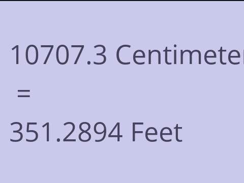 10707.3 CM TO FEET