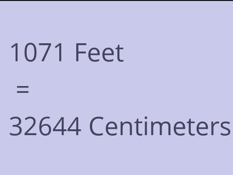 1071 FEET TO CM