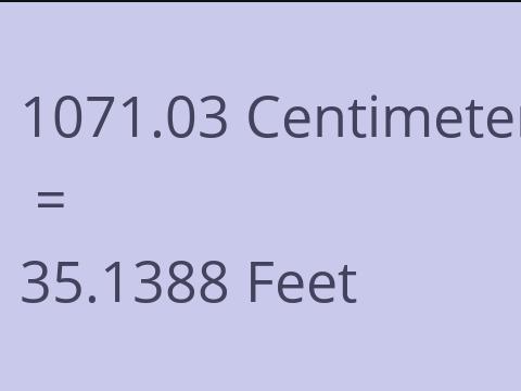 1071.03 CM TO FEET