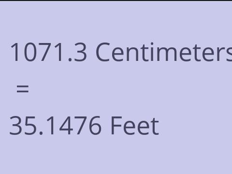 1071.3 CM TO FEET