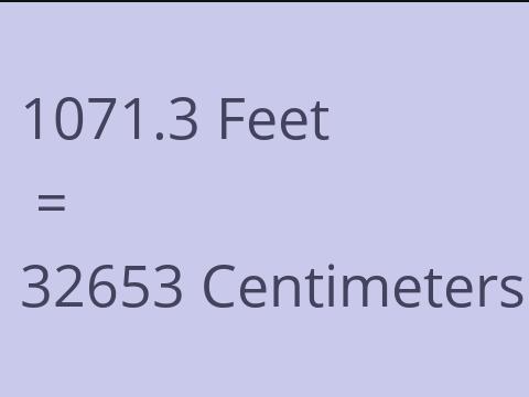 1071.3 FEET TO CM