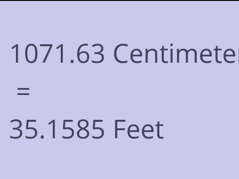 1071.63 CM TO FEET