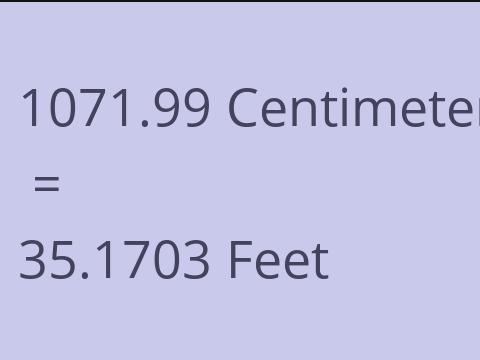 1071.99 CM TO FEET