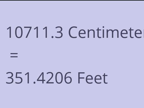 10711.3 CM TO FEET