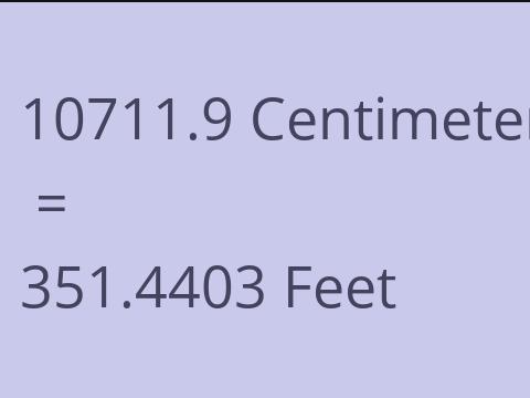 10711.9 CM TO FEET