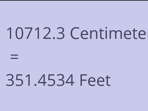 10712.3 CM TO FEET
