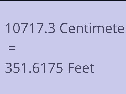 10717.3 CM TO FEET