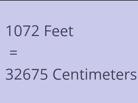 1072 FEET TO CM