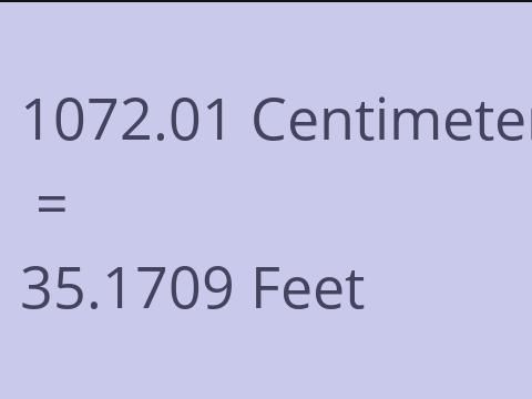 1072.01 CM TO FEET