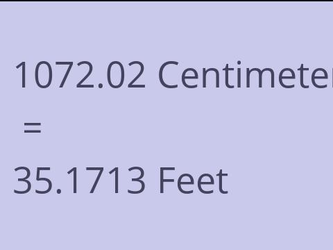 1072.02 CM TO FEET