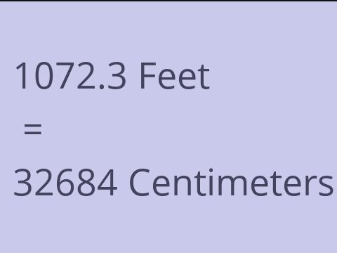 1072.3 FEET TO CM