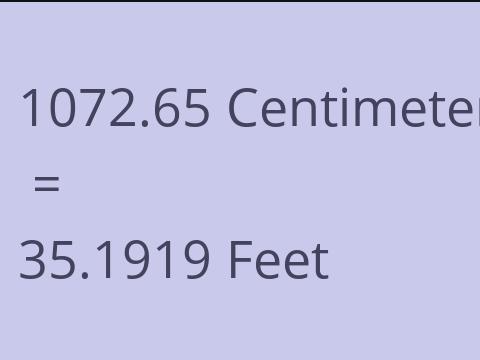 1072.65 CM TO FEET