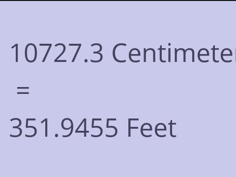 10727.3 CM TO FEET