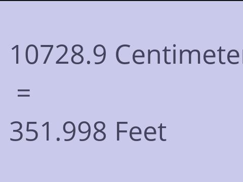 10728.9 CM TO FEET