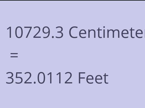 10729.3 CM TO FEET