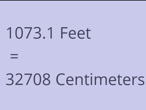 1073.1 FEET TO CM