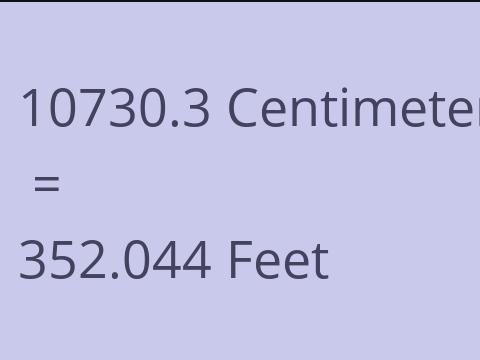 10730.3 CM TO FEET