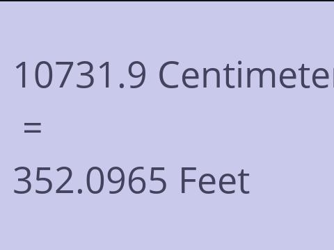 10731.9 CM TO FEET