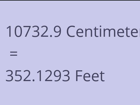 10732.9 CM TO FEET